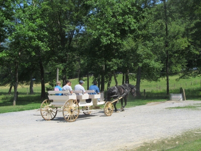 taking a ride in a cades-cove buggy