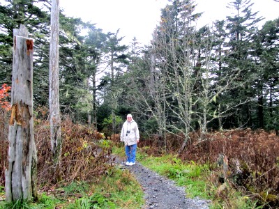 Those Hiking the Tennessee/North Carolina Appalachian Trail area enjoy seeing Clingmans Dome.