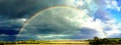 A forecast-weather-rainbow is beautiful