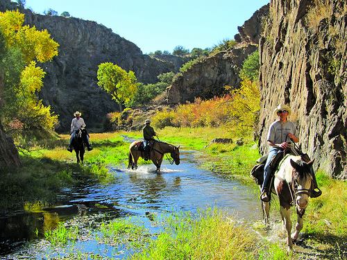 Enjoy An Exciting Ride As You Go Through A Real Adventure At Gold Rush Riding Stables.