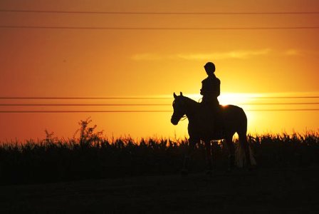 Enjoy riding in "hilly" terrain instead of the flat lands when you go riding at Smoky Mountains Riding Stables.