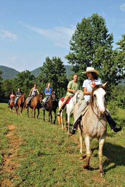 a day of horseback-riding