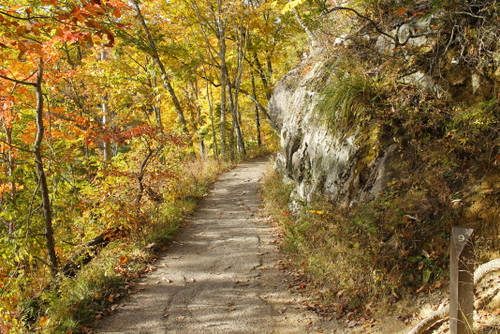 Laurel Falls Walking Trail Offers Beautiful Scenery In Every Season